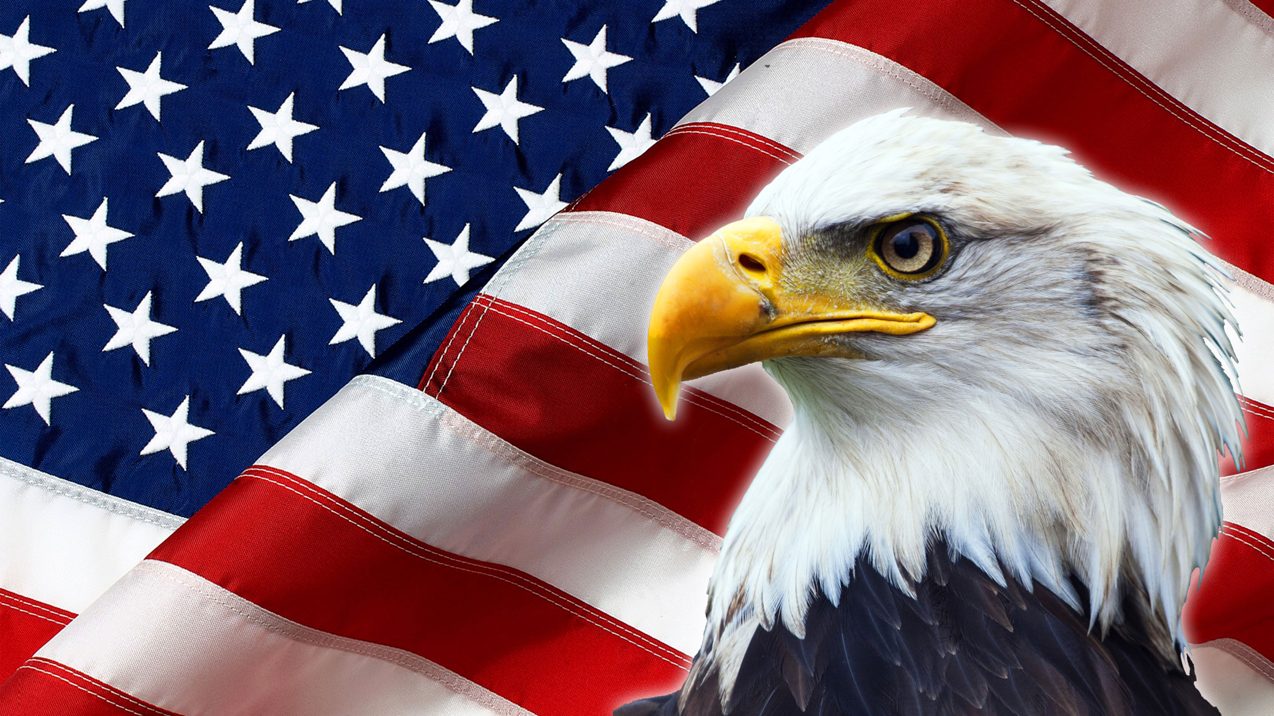 American-flag-eagle | AHAIN